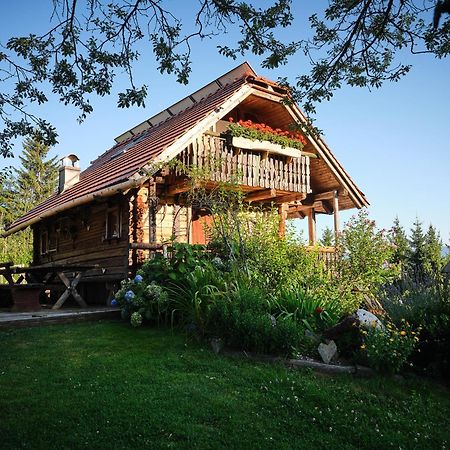 Chalets Toplak Sveti Duh na Ostrem Vrhu Exterior foto