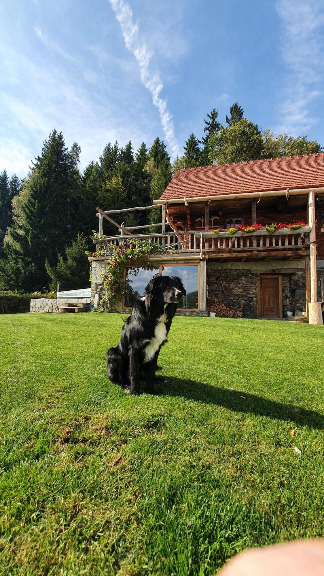 Chalets Toplak Sveti Duh na Ostrem Vrhu Exterior foto